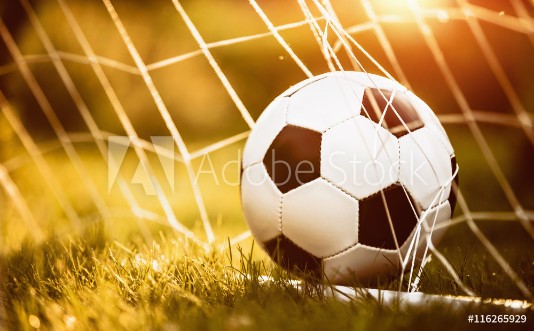 Picture of Soccer ball in goal